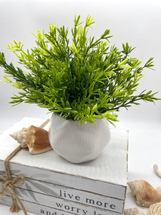 Small Faux Plant for Desk or Shelf