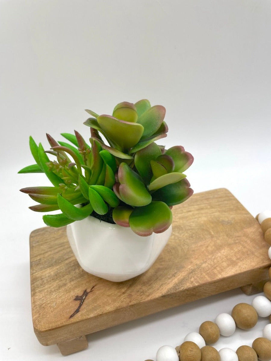 Small Fake Succulents, Cacti Shelf Decor, Faux Succulents Arrangement for Coffee Table