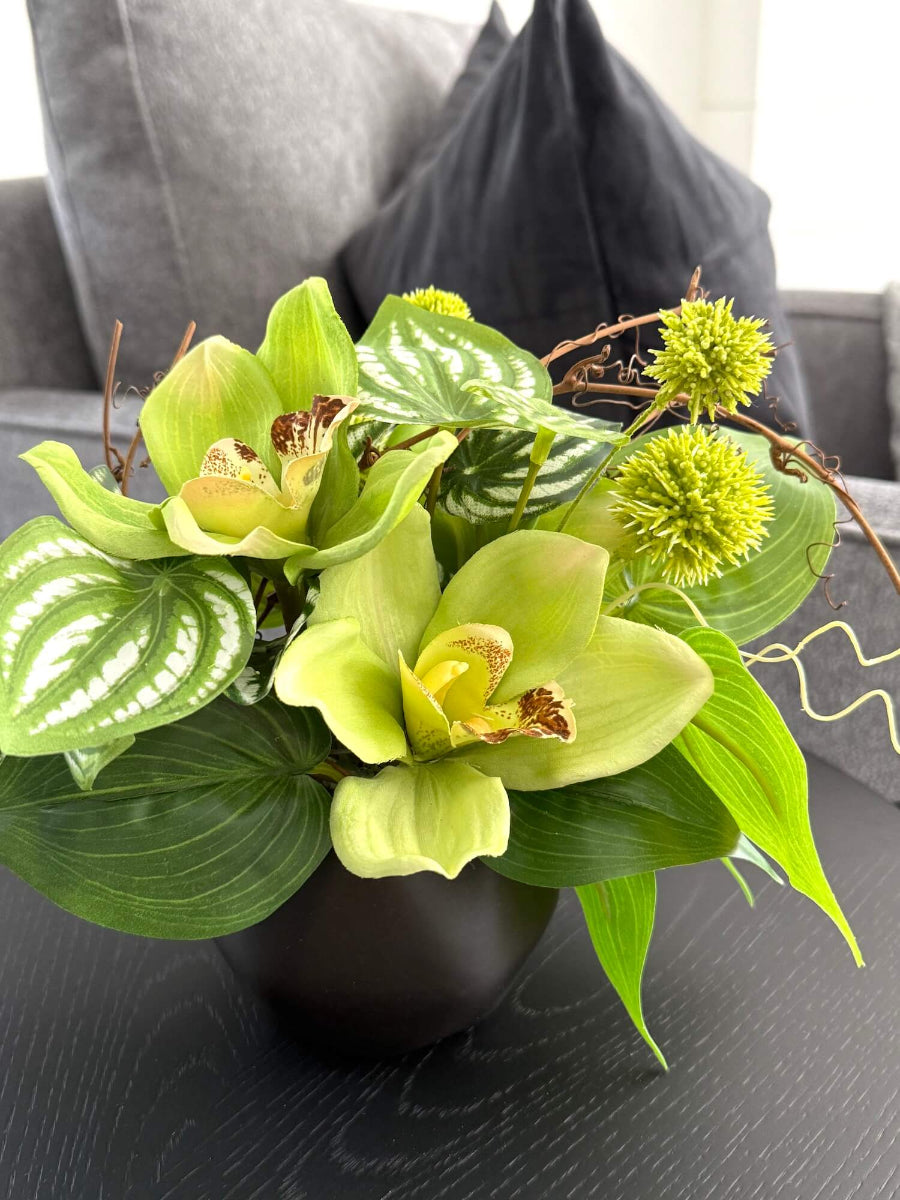 realistic looking green orchid small arrangement with greenery in black ceramic vase on coffee table
