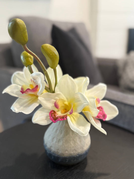 realistic looking small white orchid arrangement of five flowers and 3 buds in gray ceramic vase styled on coffee table