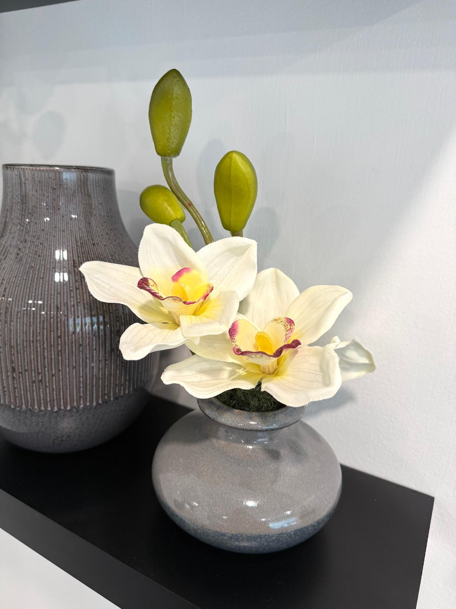 small white orchid arrangement in gray ceramic vase
