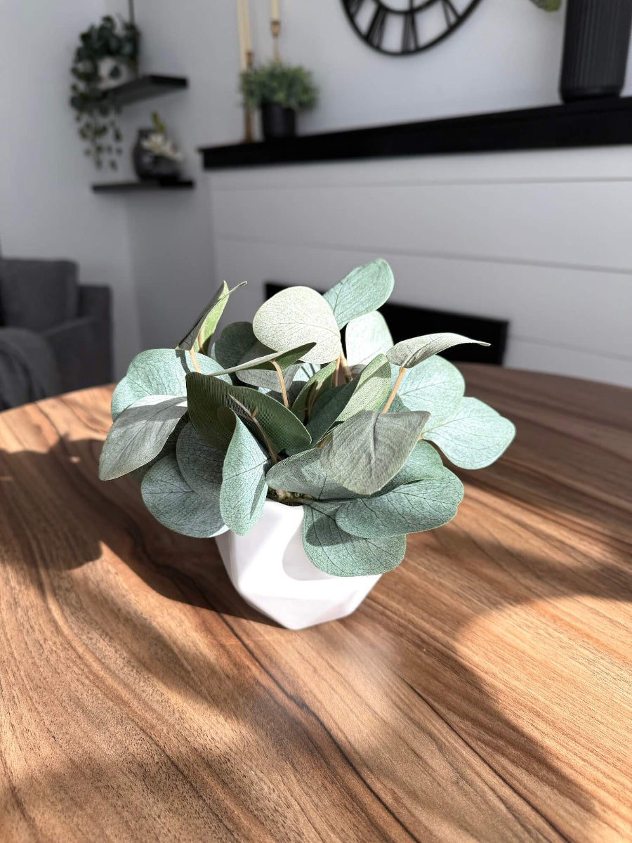 lifelike silver dollar eucalyptus in white ceramic vase for coffee table decor