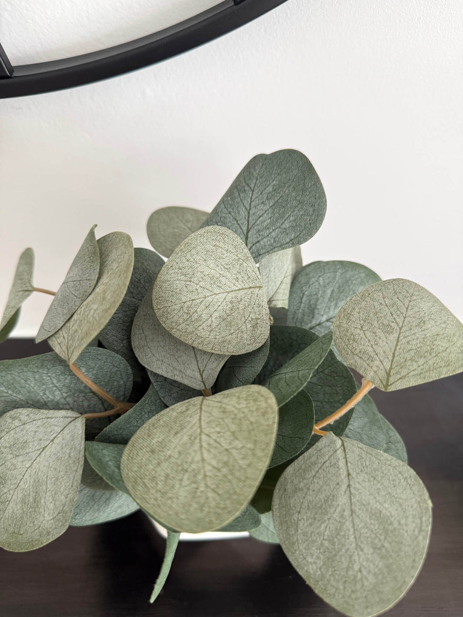 close up for small silver dollar eucalyptus 