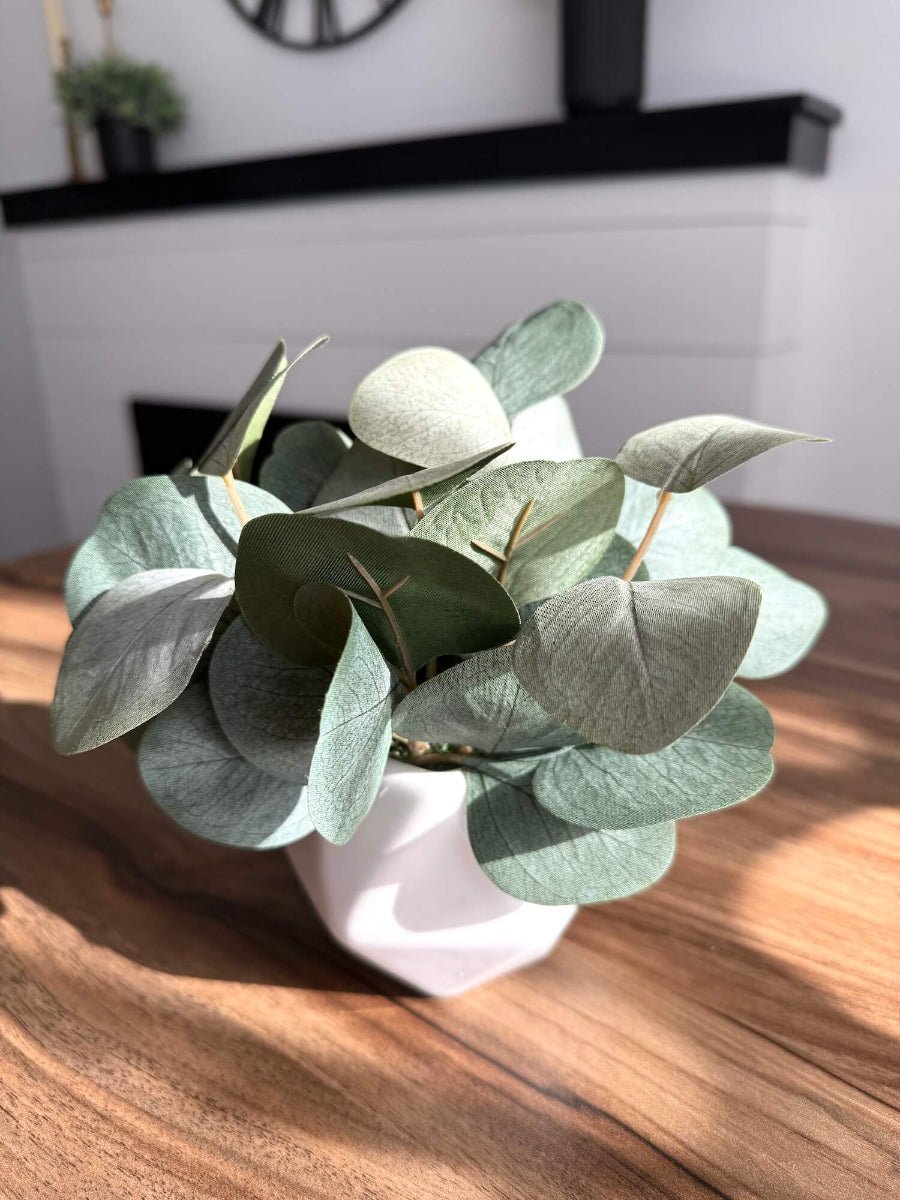 realistic small silver dollar eucalyptus in white ceramic vase