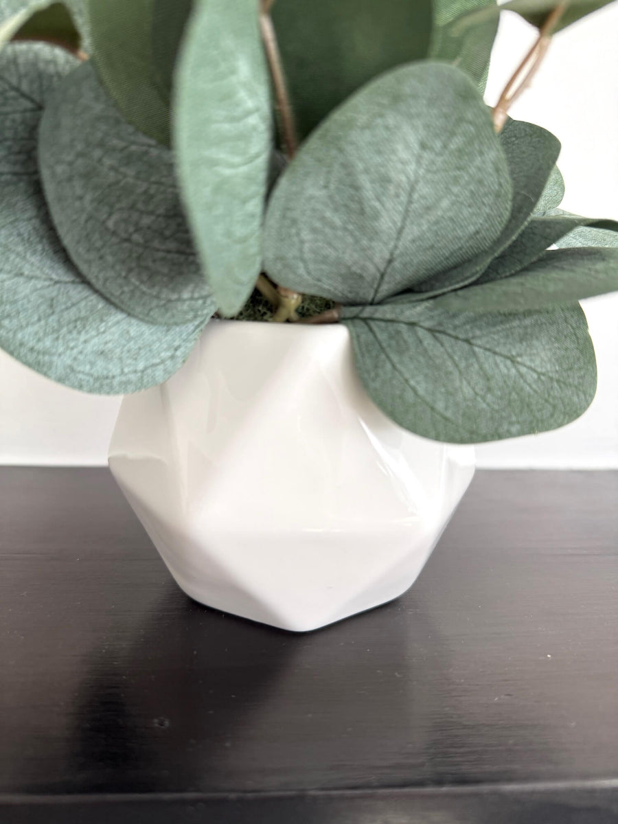 close up for small white ceramic vase with silver dollar eucalyptus