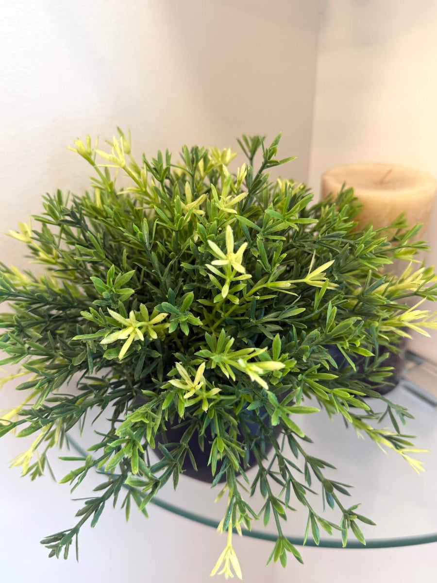 view from top for small vivid green realistic faux plant in black matte ceramic pot vase of geometric shape