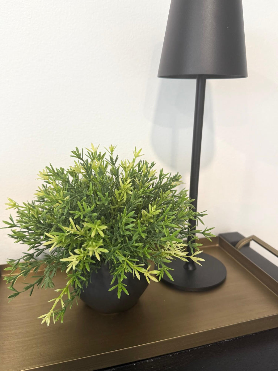 small vivid green realistic faux plant in black matte ceramic pot vase of geometric shape