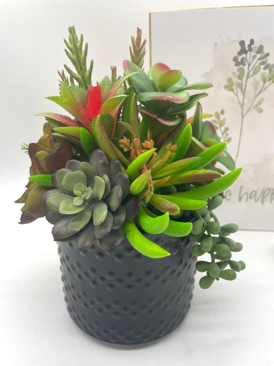 Realistic Potted Succulent Centerpiece-variety of succulents in different shape and size in different shades of green set in textured black pot vase
