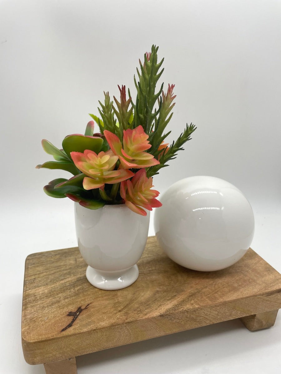 Small Faux Succulent, Fake Succulents in White Vase, Artificial Succulents Arrangement, by AllSeasonsHouseDecor