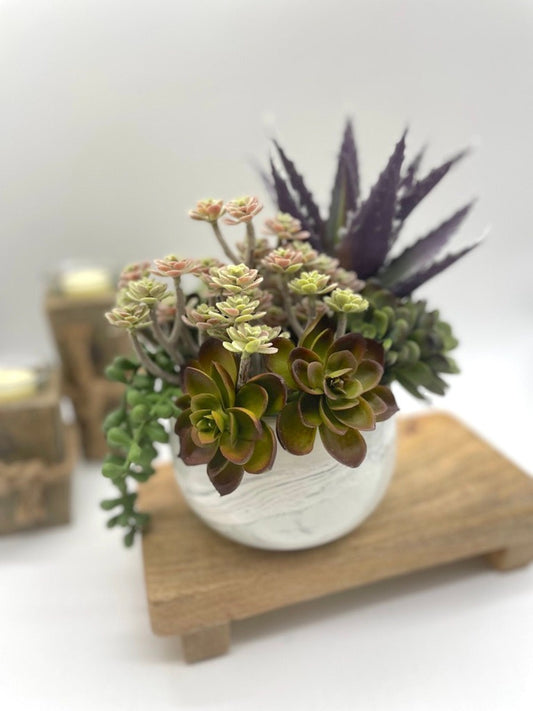 Potted Faux Succulents - mix of succulents in different size and style from beige through green to purple, realistic looking set in elegant ceramic vase pot in marble-like pattern in white and gray