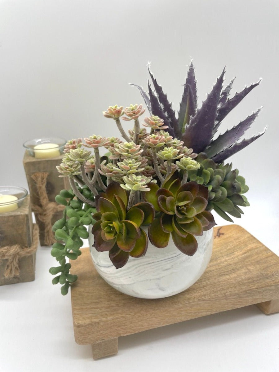 Potted Faux Succulents - mix of succulents in different size and style from beige through green to purple, realistic looking set in elegant ceramic vase pot in marble-like pattern in white and gray