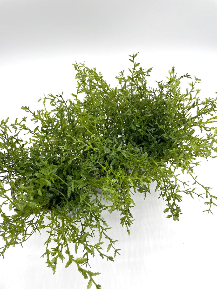 view from top on faux fern arrangement in triple can metal planter