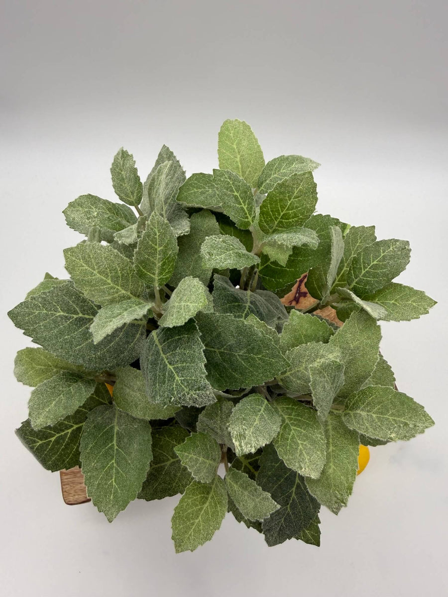 view from top of realistic looking faux mint plant in black matte ceramic po vase of geometric shape set o kitchen counter