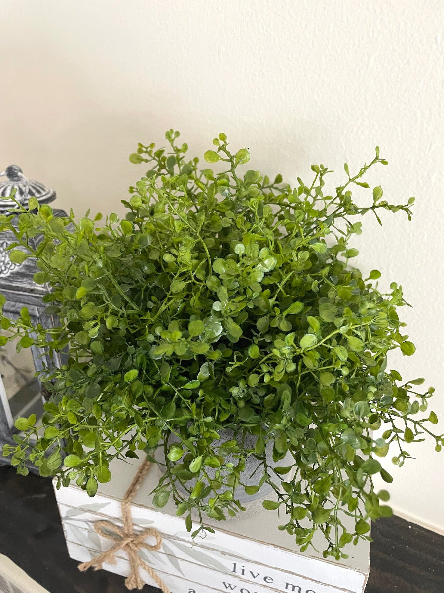 realistic looking vivid green faux plant in gray ceramic vase pot