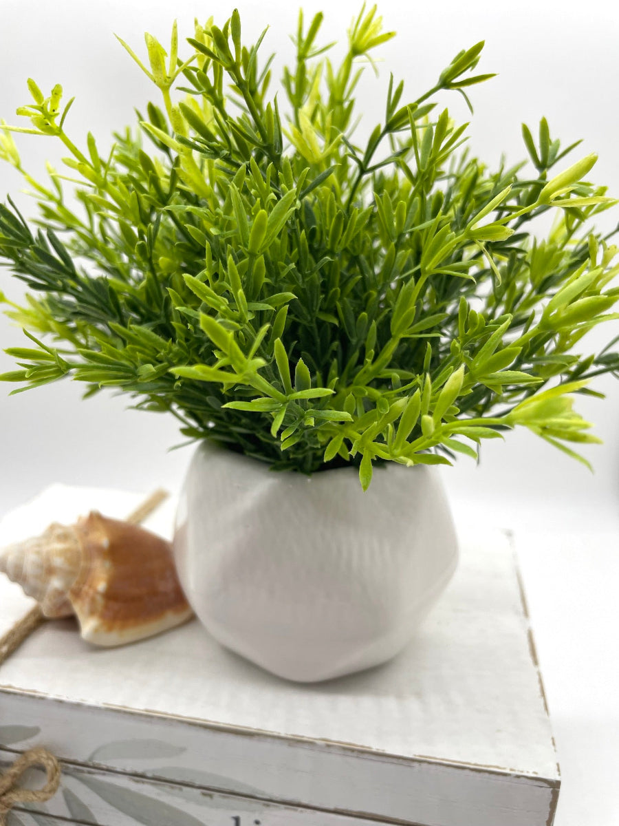 close up for vivid greenery in small ceramic pot vase of geometric shape