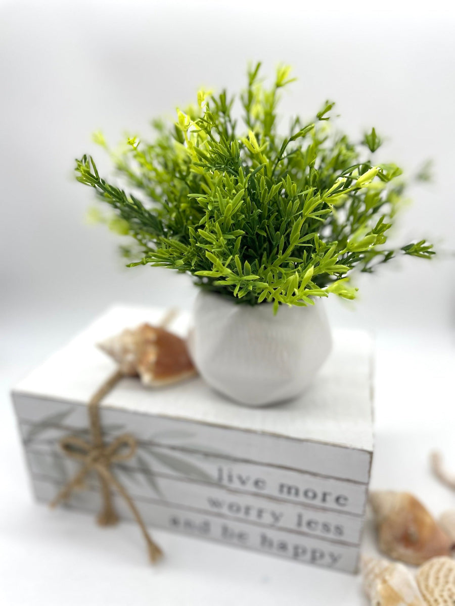close up for vivid greenery in small ceramic pot vase of geometric shape