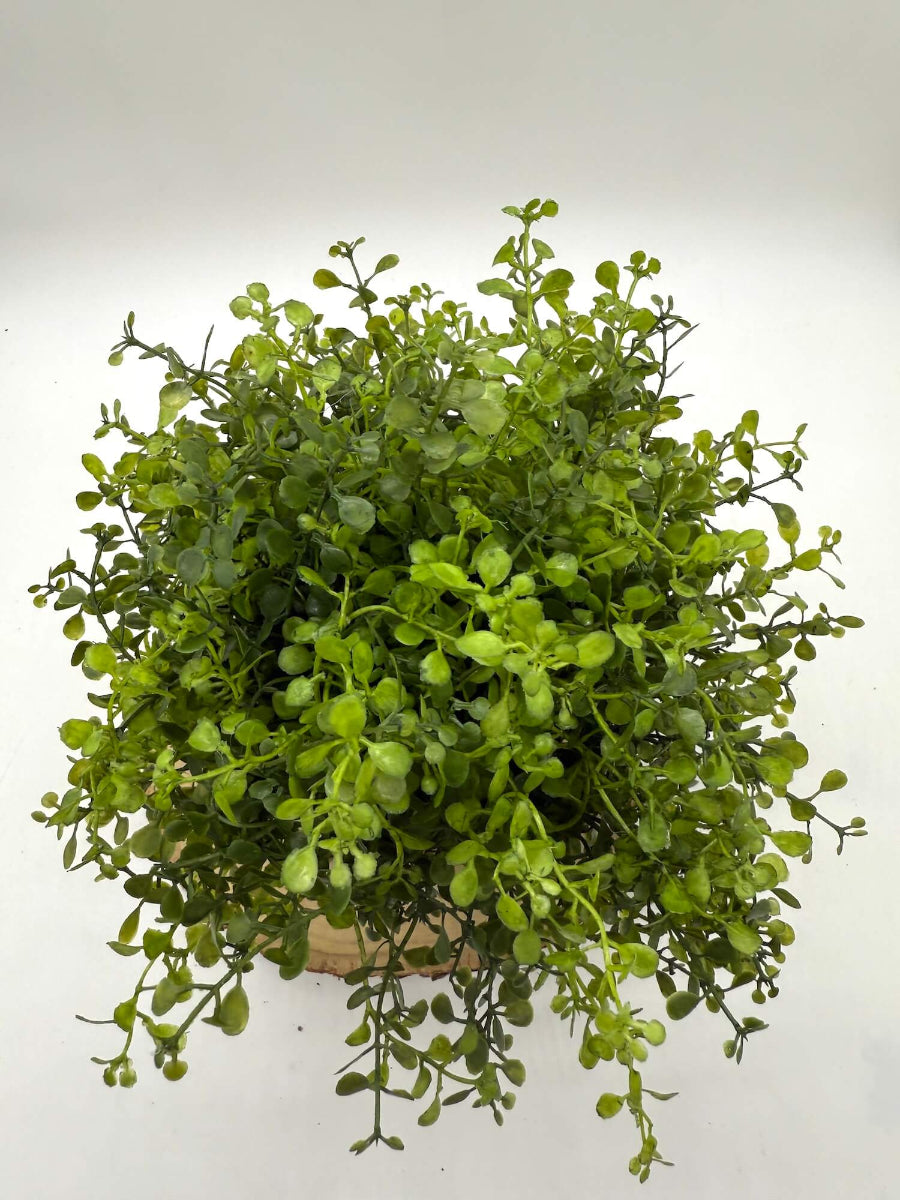 view from top of vivid green realistic artificial greenery in wooden square planter stained in expresso color and decorated with jute