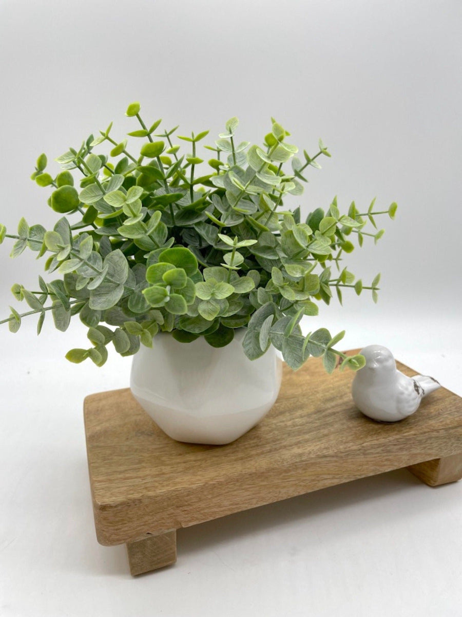 Artificial faux Eucalyptus in Small Ceramic Vase