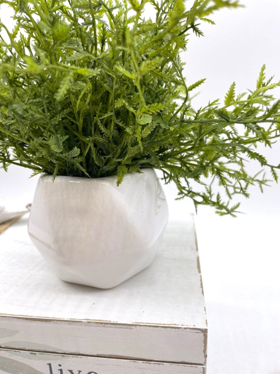 close up for Small vivid green Fake Plant -fern type  in White Geometric Pot
