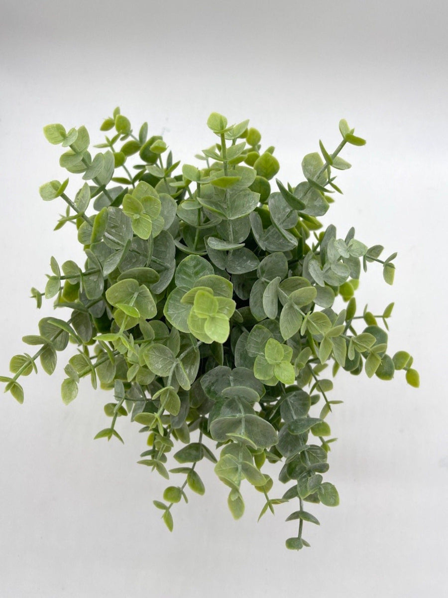 view from top for realistic faux Eucalyptus Arrangement in bottle vase painted in ivory and distressed and decorated with rope
