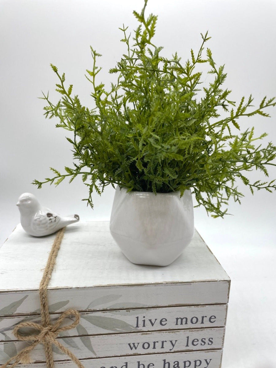 Small vivid green Fake Plant -fern type  in White Geometric Pot