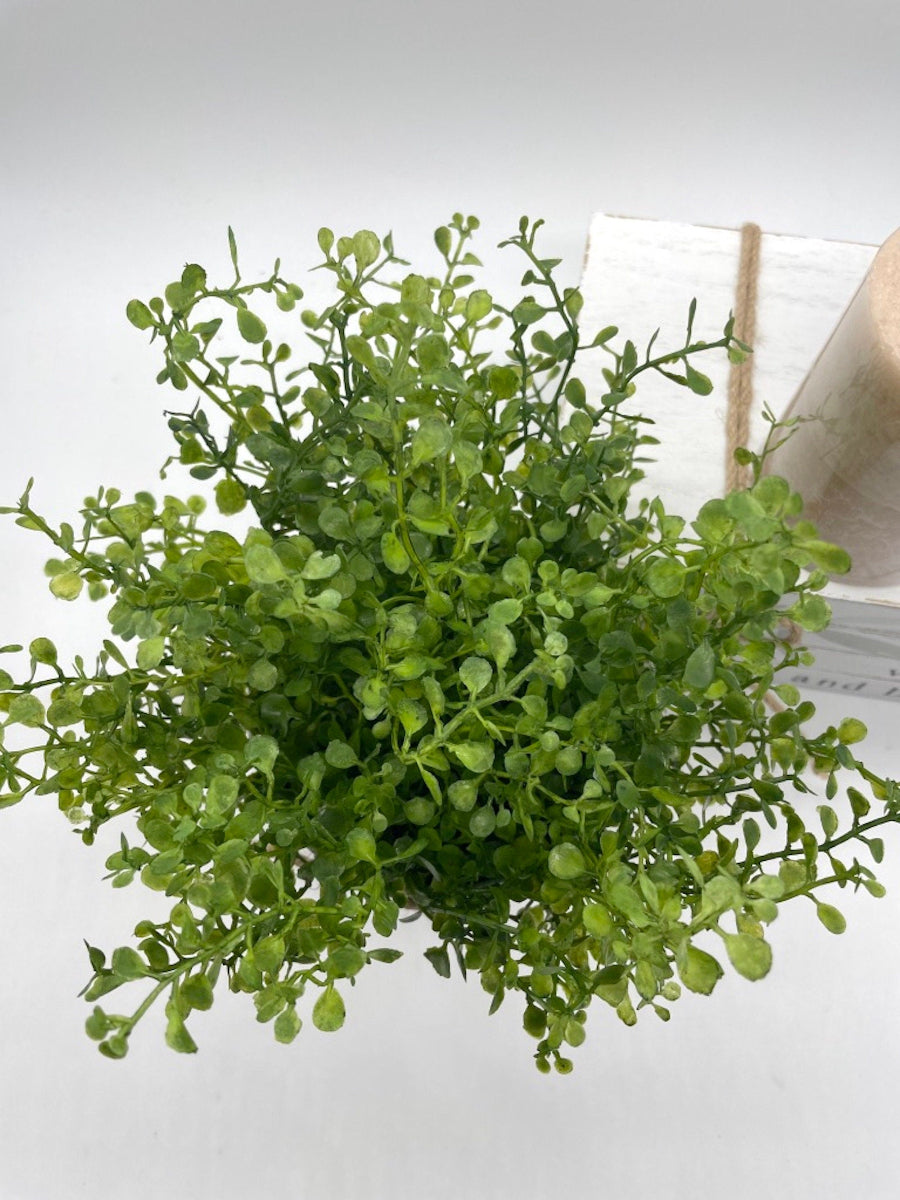 view from top for vivid green realistic greenery in metal galvanized pot touched with white paint and decorated with jute