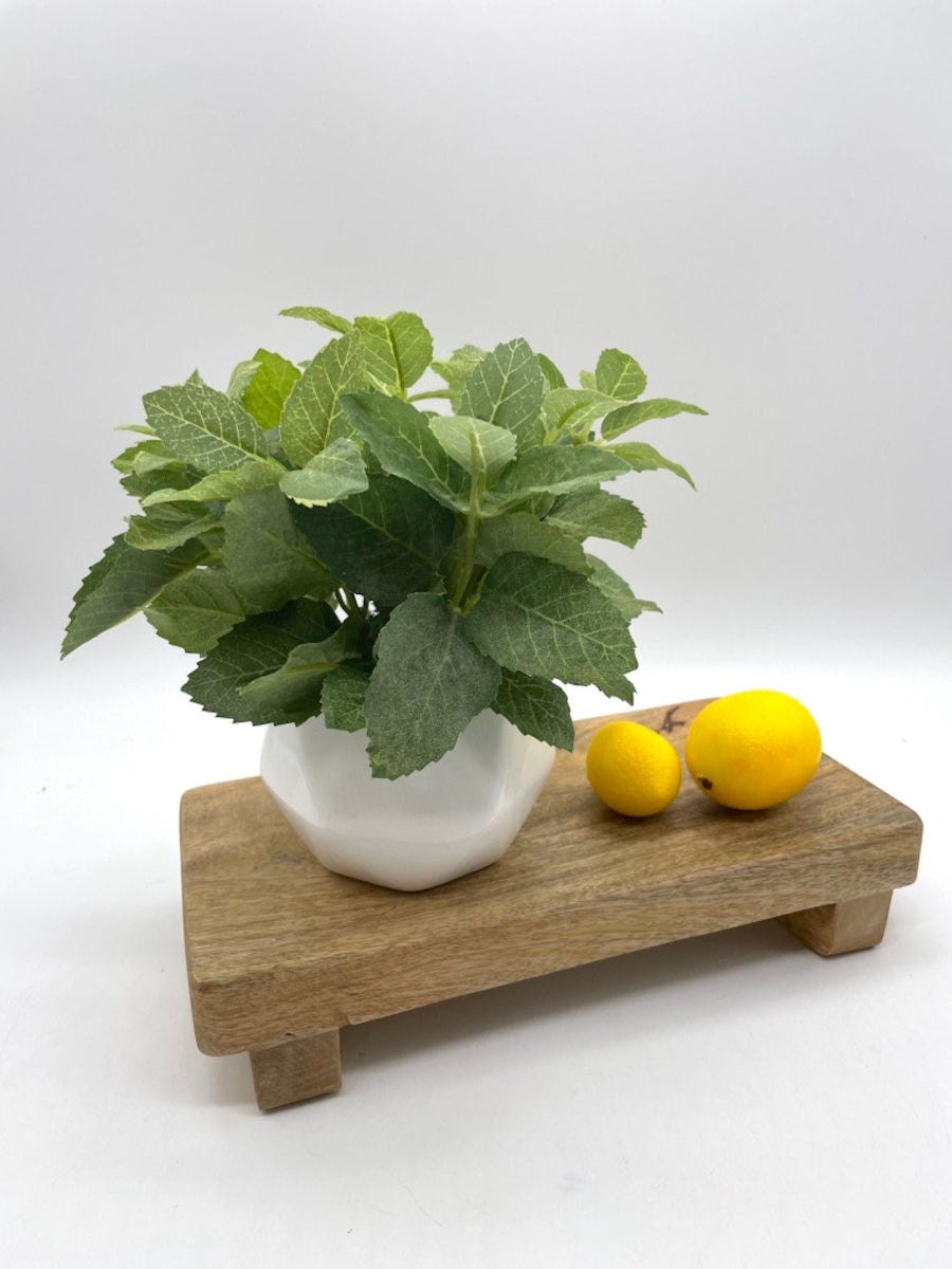 realistic Faux Mint in Small Ceramic Vase of geometric shape