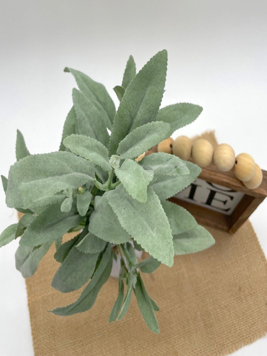 view from top and close up for realistic Sage plant Arrangement in Gray bottle Vase - painted in gray and distressed, decorated with jute