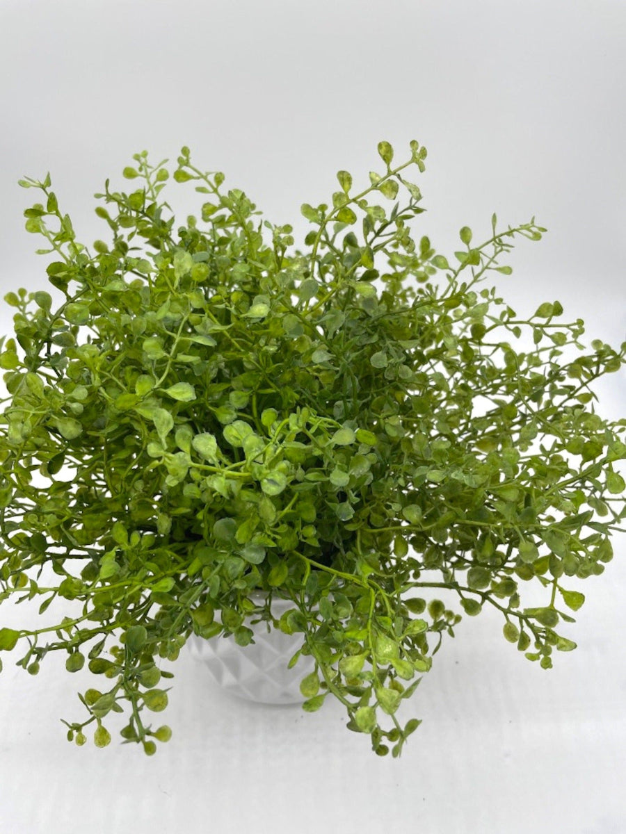 view from top for realistic vivid green faux plant in white ceramic pot in diamond pattern
