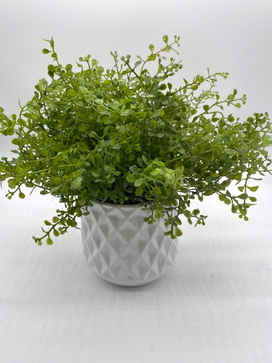 realistic vivid green faux plant in white ceramic pot in diamond pattern