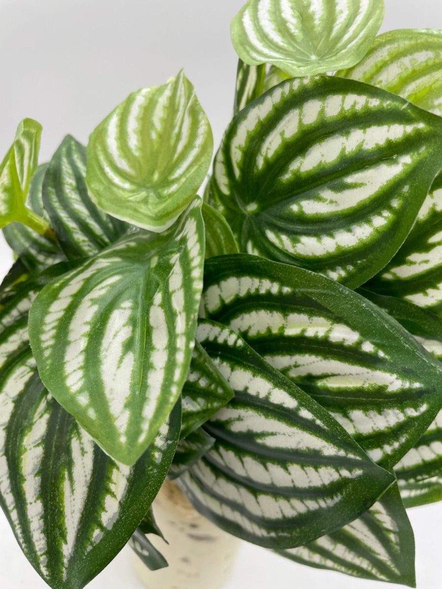 close up for Big Leaf Fake Plants with green leaves and white stripes bottle vase painted in ivory and distressed and decorated with rope