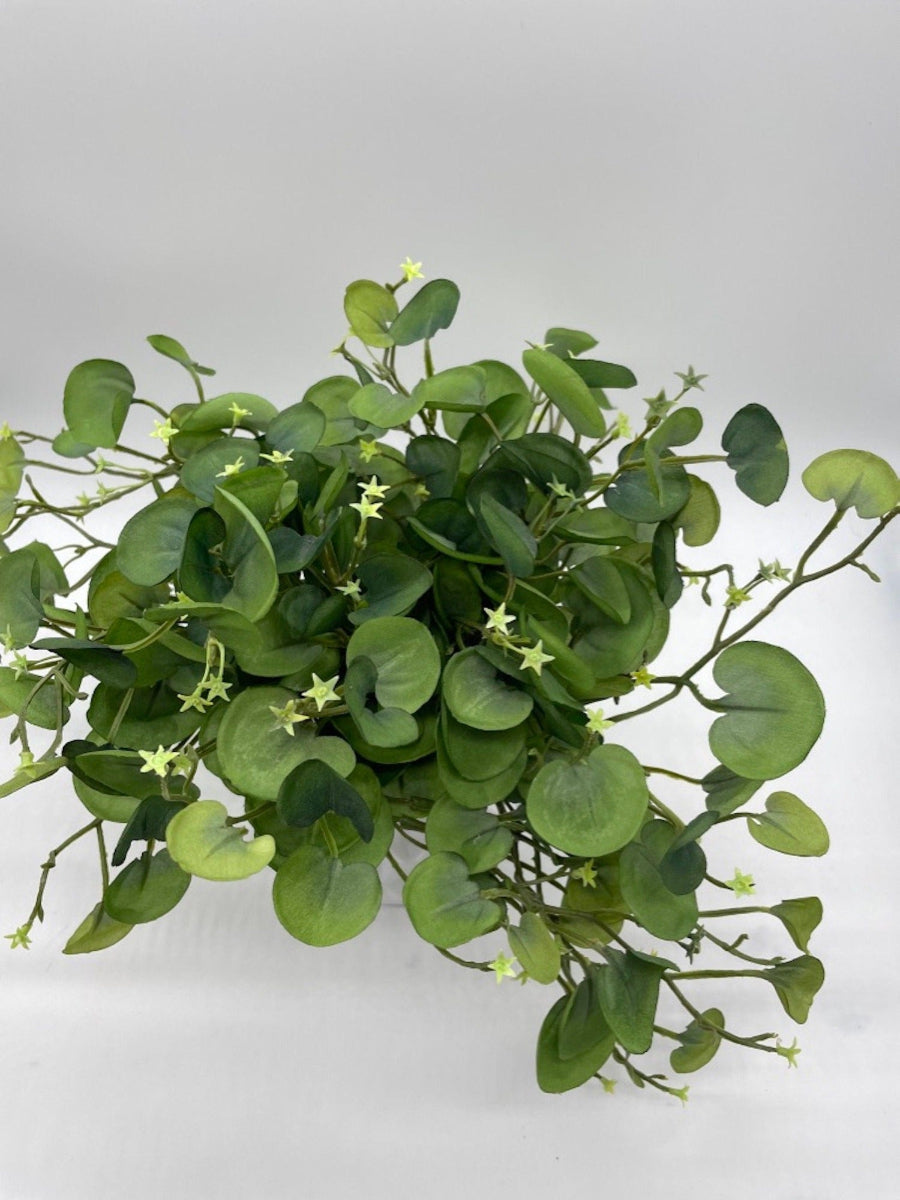 view from top of realistic vivid green faux plant with round shaped leaves 