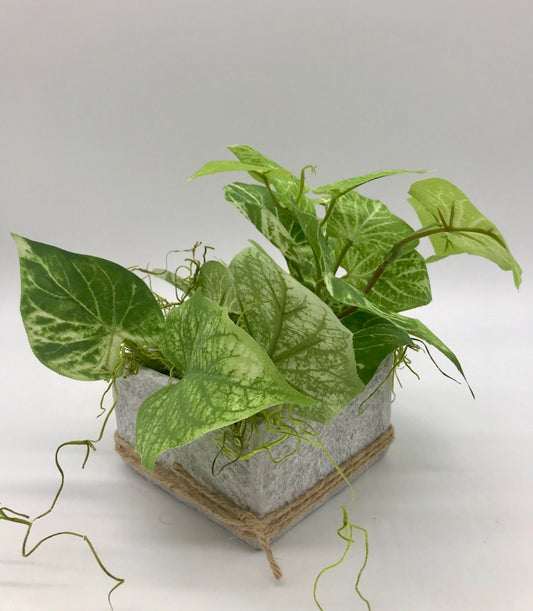 Small Fake Plant in Cement Pot, Modern Farmhouse Artificial Plants, Farmhouse Greenery Centerpiece, Coffee Table Decor, Bedroom Decoration