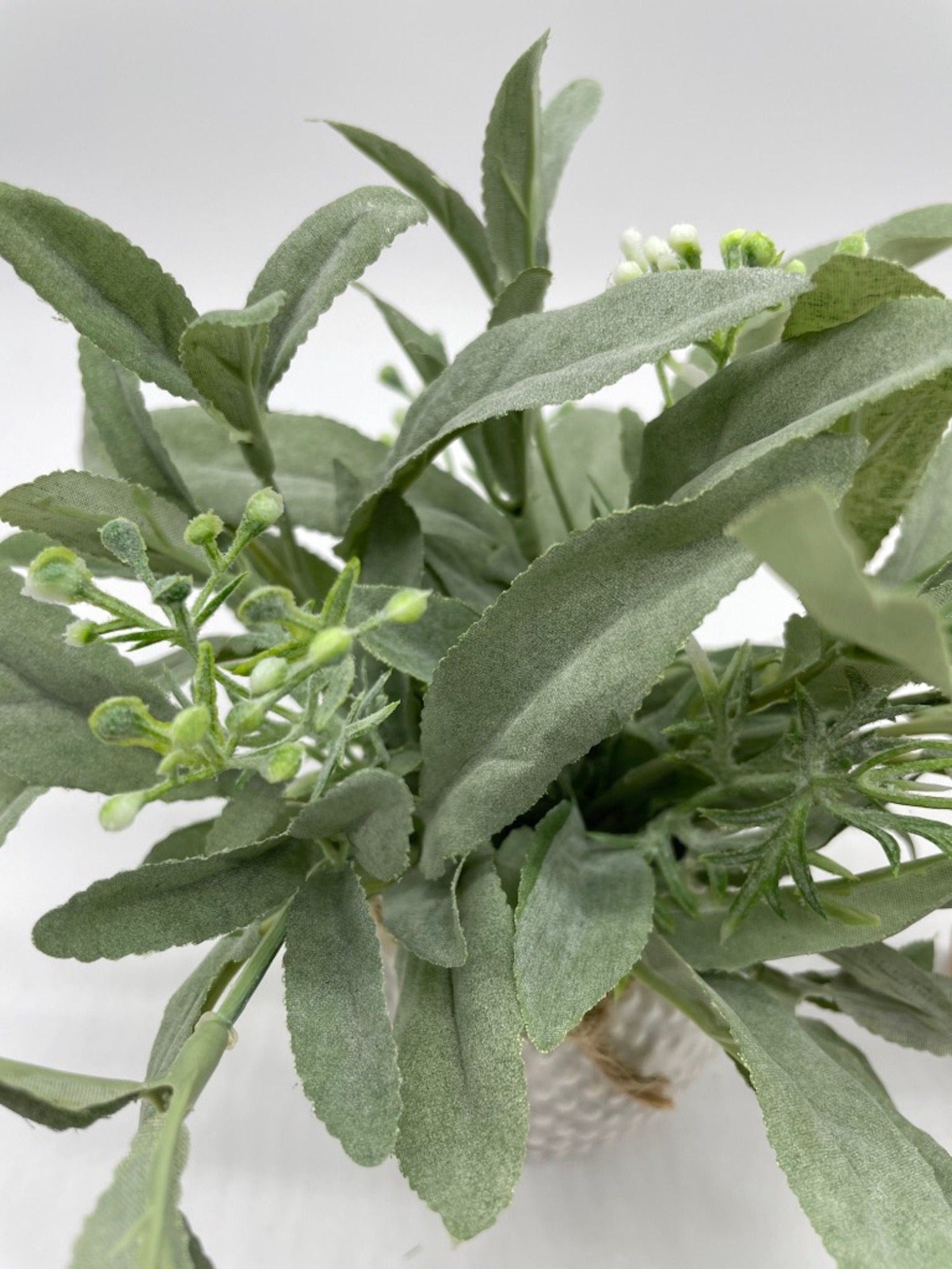 Sage Plant in White Ceramic Pot, Small Silk Arrangement Shelf and Table, by AllSeasonsHouseDecor