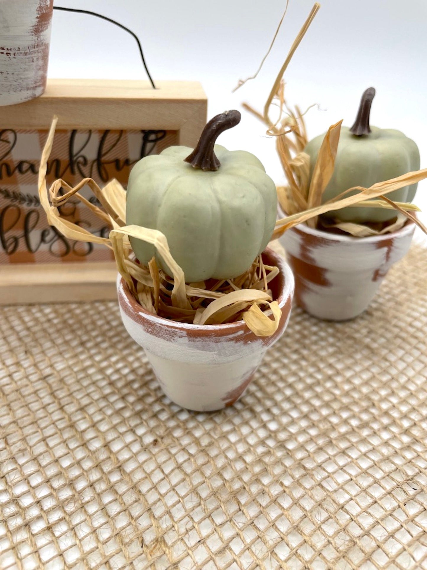 Mini Pumpkin Set Tiered Tray Decor, Fall Farmhouse Arrangement in Terracota Pot