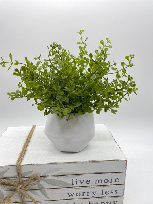 Small Silk Plant in White Ceramic Pot, Artificial Greenery for Shelf, by AllSeasonsHouseDecor