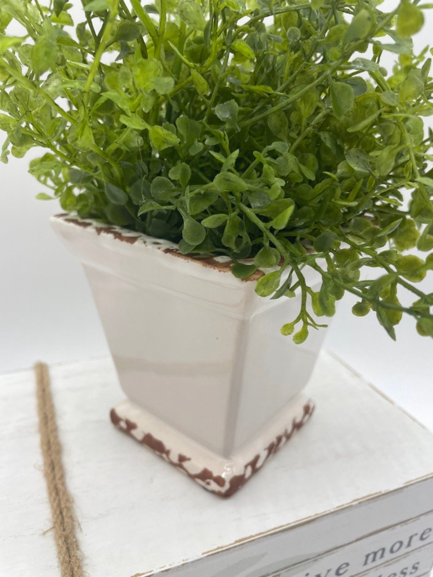Small Fake Plant in Square Ceramic Pot, Elegant Greenery Coffee Table Decor