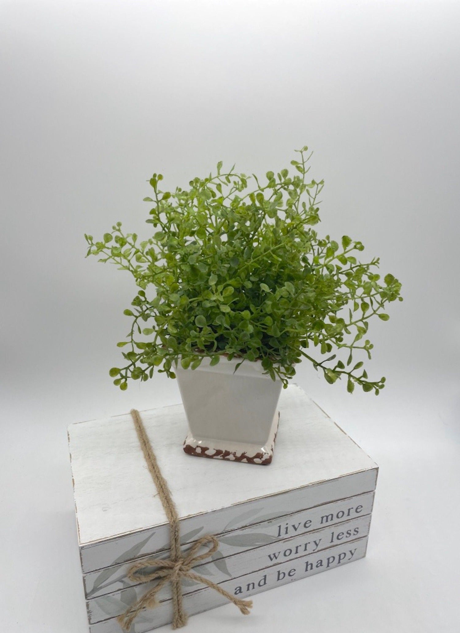 Small Fake Plant in Square Ceramic Pot, Elegant Greenery Coffee Table Decor