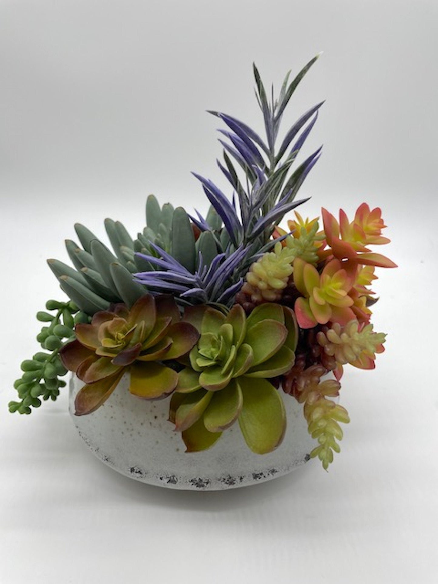 Elegant Succulent Centerpiece, Unique Succulents Arrangement in Ceramic Pot