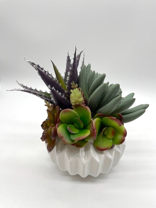 Fake Succulents in White Ceramic Pot, Elegant Cacti Arrangement for Coffee Table