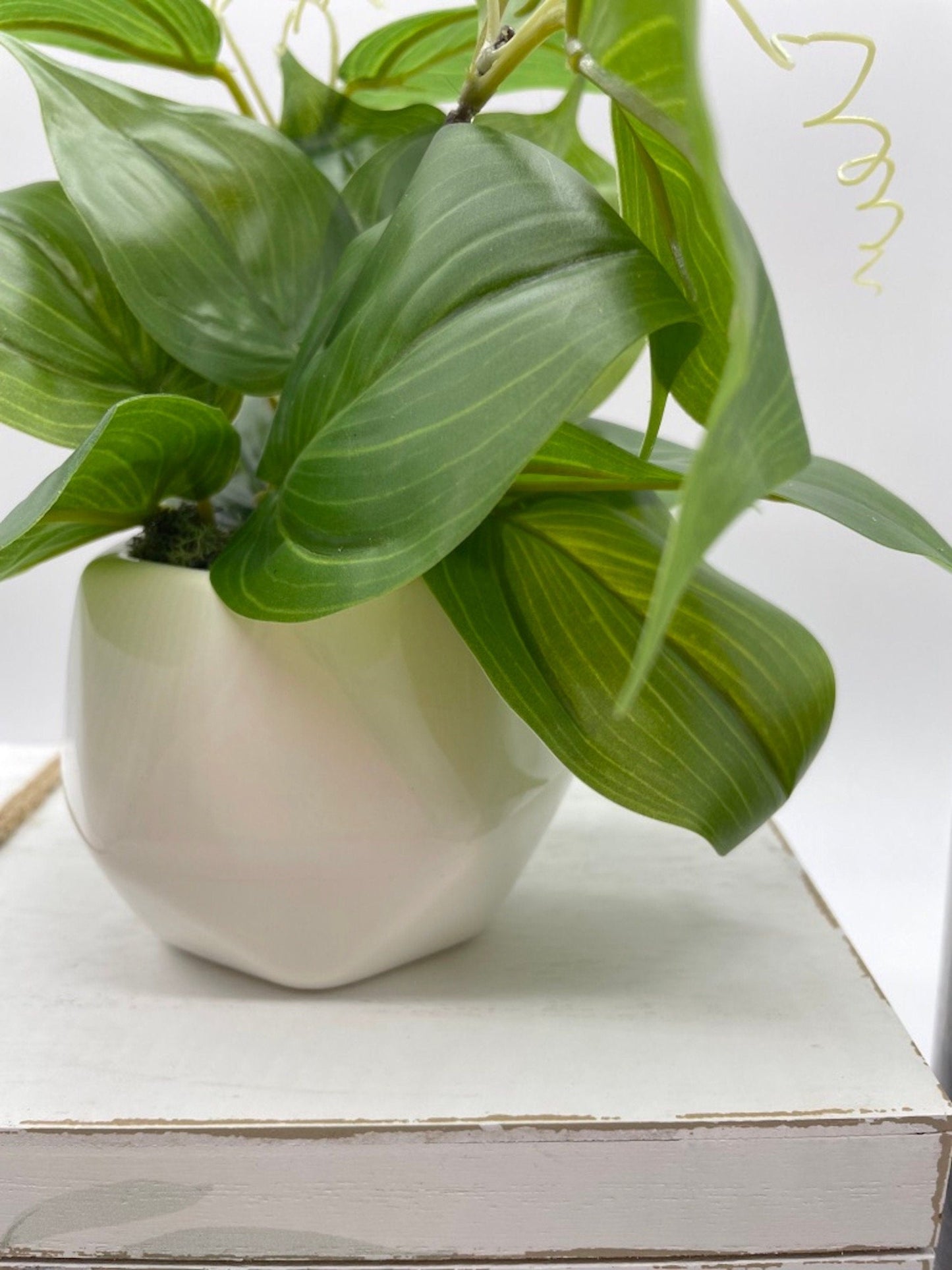 Silk Plant in Small Geometric Pot, Artificial Plants for Bathroom Shelf