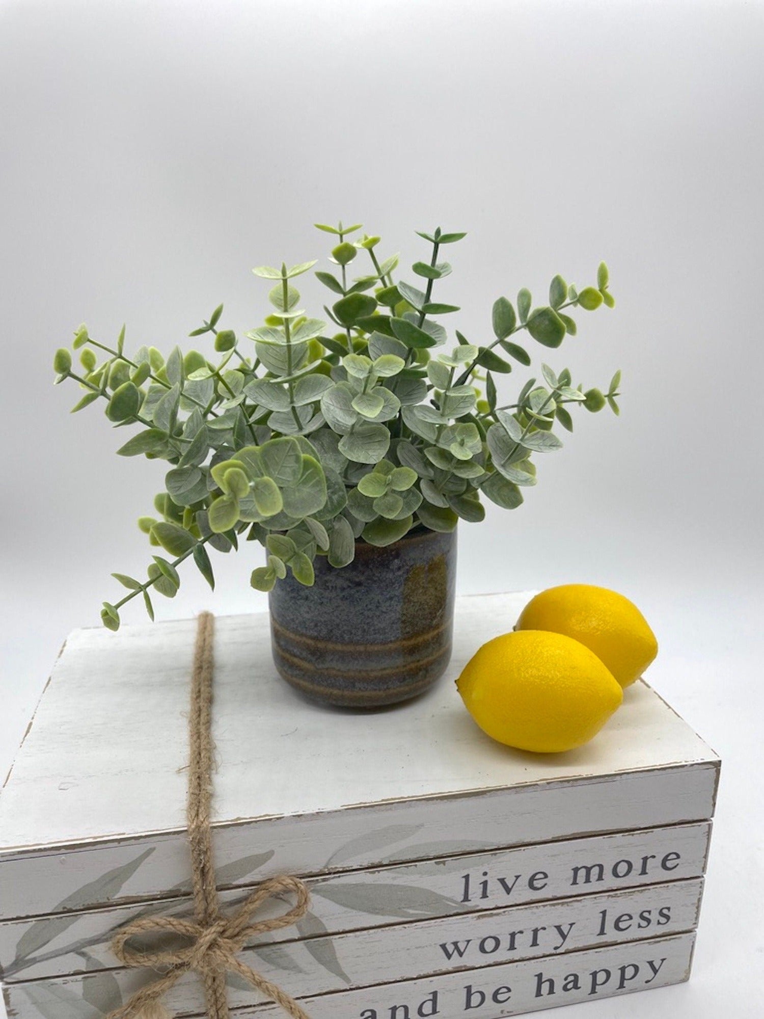 Small Eucalyptus Plant in Rustic Ceramic Pot, Farmhouse Greenery for Shelf, by AllseasonsHouseDecor