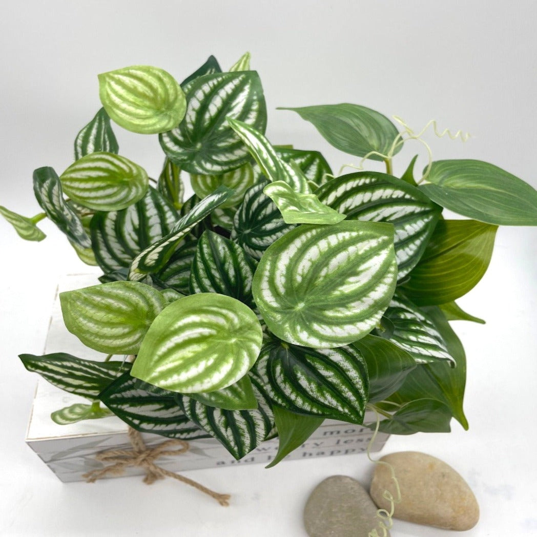 Silk Plants Mix in Black Ceramic Vase, Lifelike Greenery, Green and White-Green Leaves Plant Potted, Realistic Rare House Plants, Artificial Plants Idea for Mantel Shelf, Kitchen Island, Console Table, Living Room