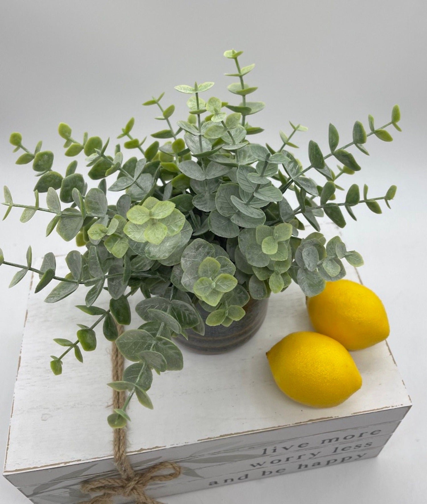 Small Eucalyptus Plant in Rustic Ceramic Pot, Farmhouse Greenery for Shelf, by AllseasonsHouseDecor