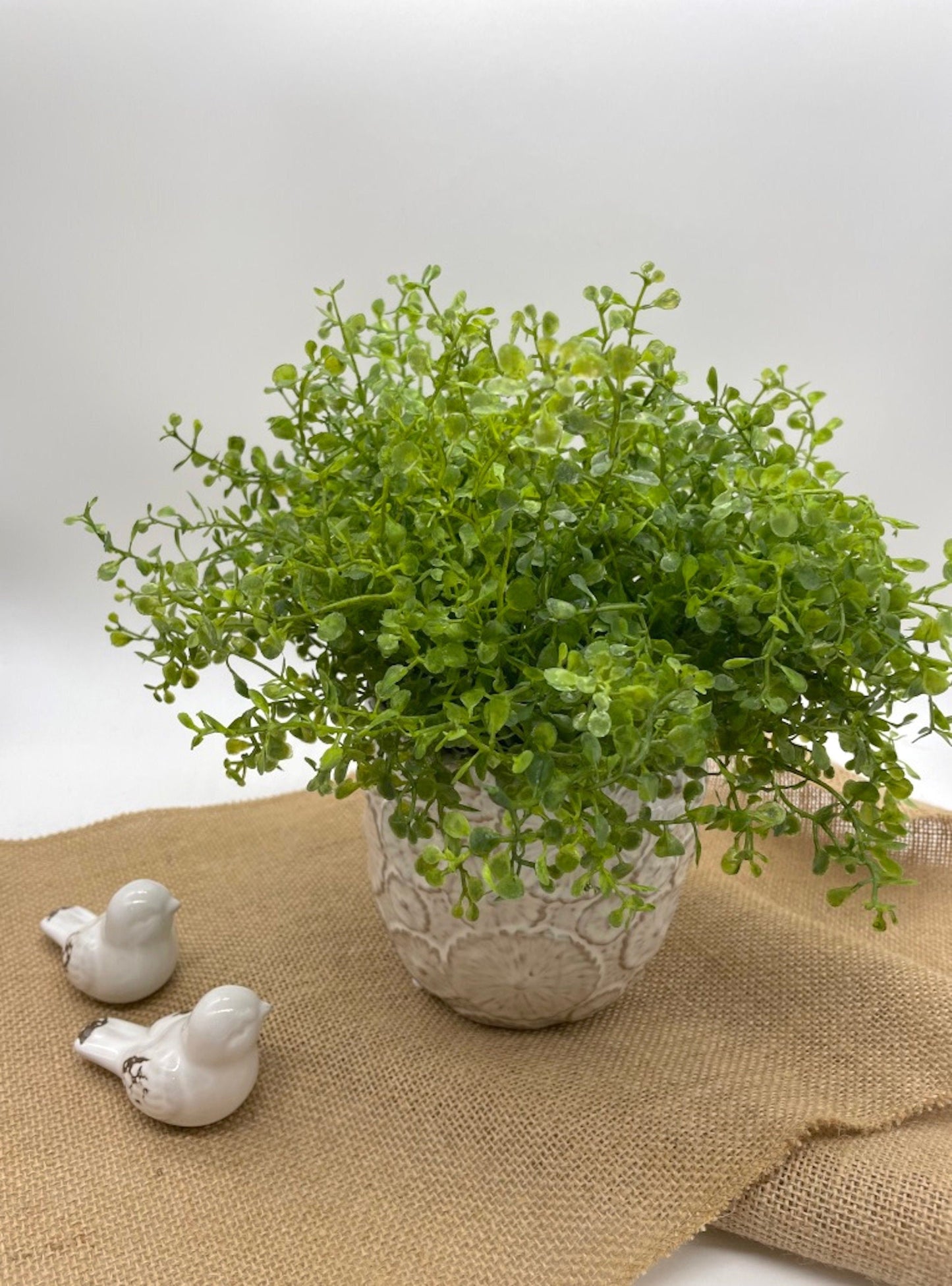 Lifelike Silk Plant in Elegant Ceramic Pot, Greenery Bedroom Decoration