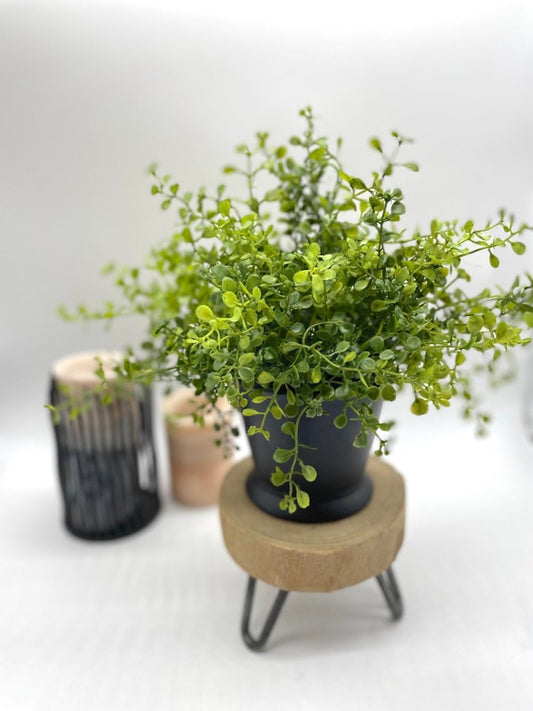 Fake Plants in Black Pot, Artificial Greenery for Bathroom Shelf, Desk Plant, by AllSeasonsHouseDecor