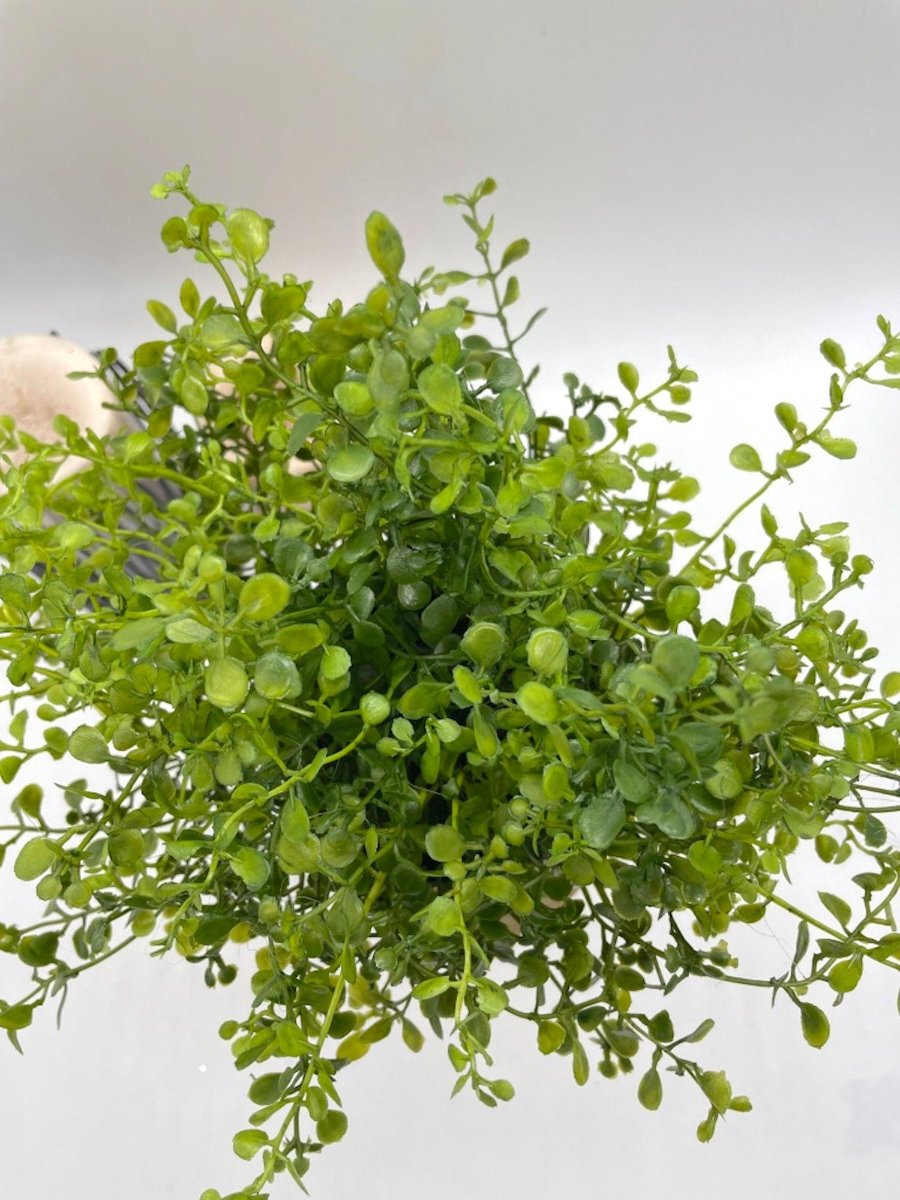 view from top of realistic faux plant in vivid green color