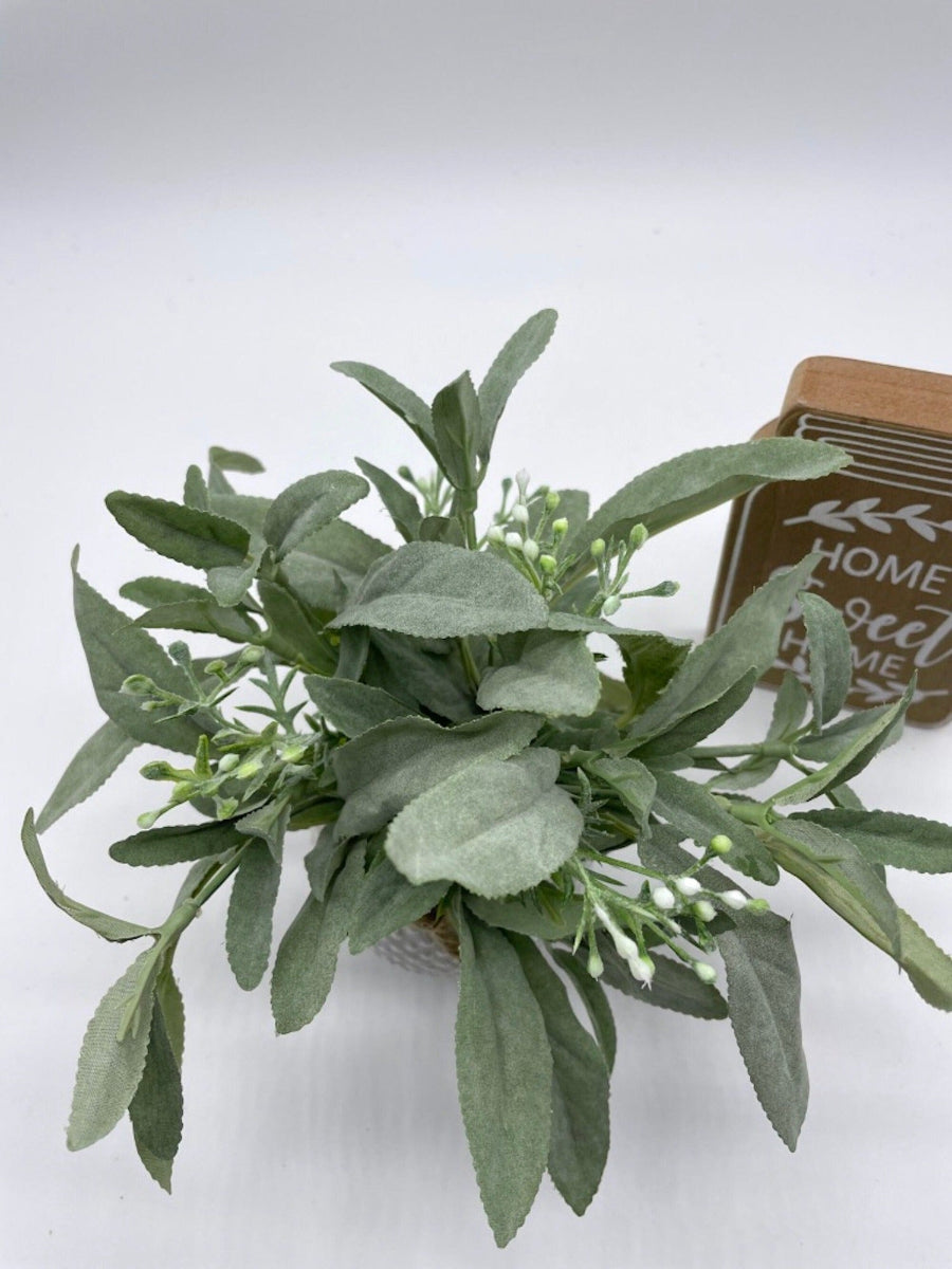 view from top realistic Sage Plant with delicate white flowers in Small white ceramic Geometric Pot
