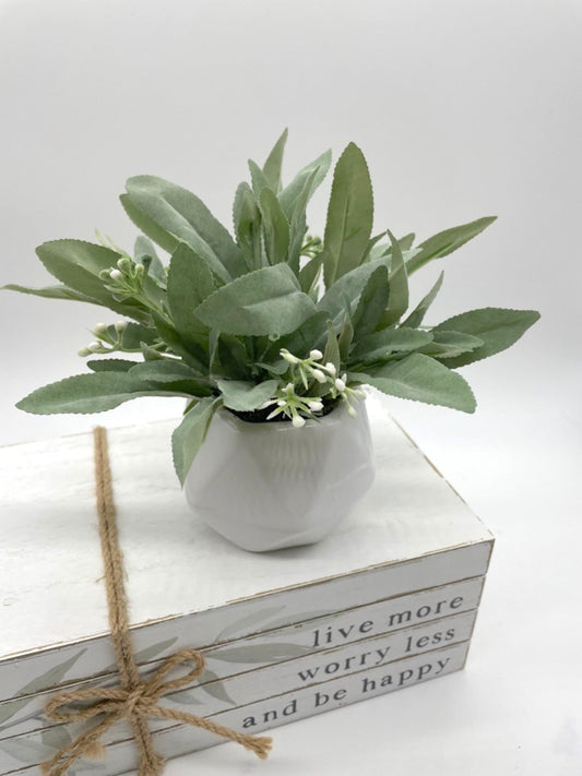 realistic Sage Plant with delicate white flowers in Small white ceramic Geometric Pot