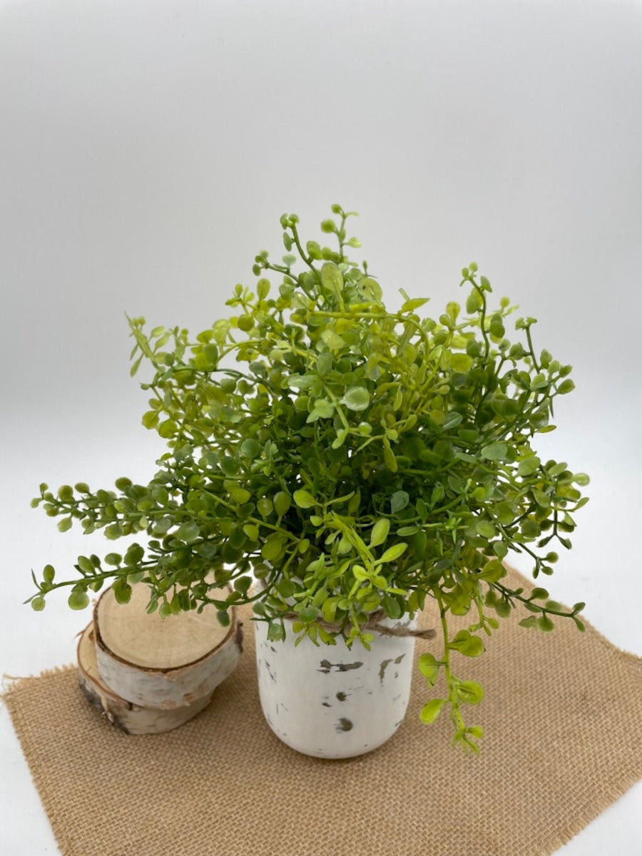view from top on vivid green Fake Plant in Mason Jar painted in white and distressed and decorated with jute